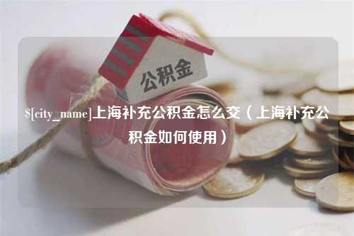 黑河上海补充公积金怎么交（上海补充公积金如何使用）